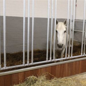 Voorwand Type Gloria met voerhek, Bongossi