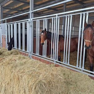 Voorwand Type Gloria met voerhek, Douglasie