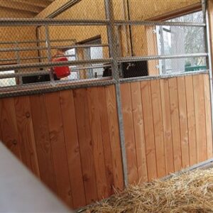 Tussenwand Kagura tot 250 cm Douglasie