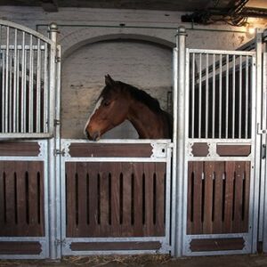 Façade Belamie H 230/250 cm, jusqu'à 350 cm L Bongossi