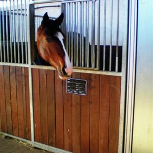 Raamklep in de schuifdeur/draaiende deur