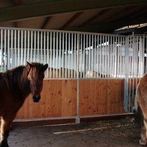 Tussenwand Abiana tot 300 cm, Douglashout