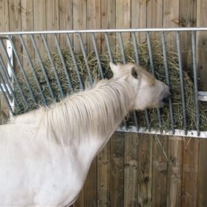 Râtelier mural droit L : 2,00 m, H : 0,85 m, P : 0,56 m