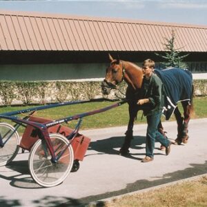 Horizontale wedstrijdzadelkast  op wielen granaatkleurige