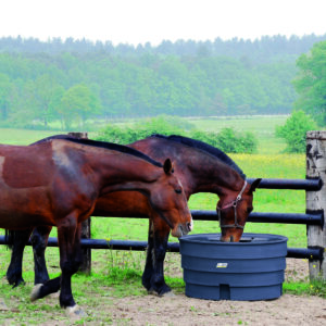 Bac de pâturage rond Superbac