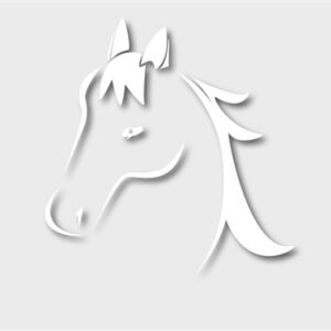 Autocollant design, Tête de cheval blanc, environ 40x40cm