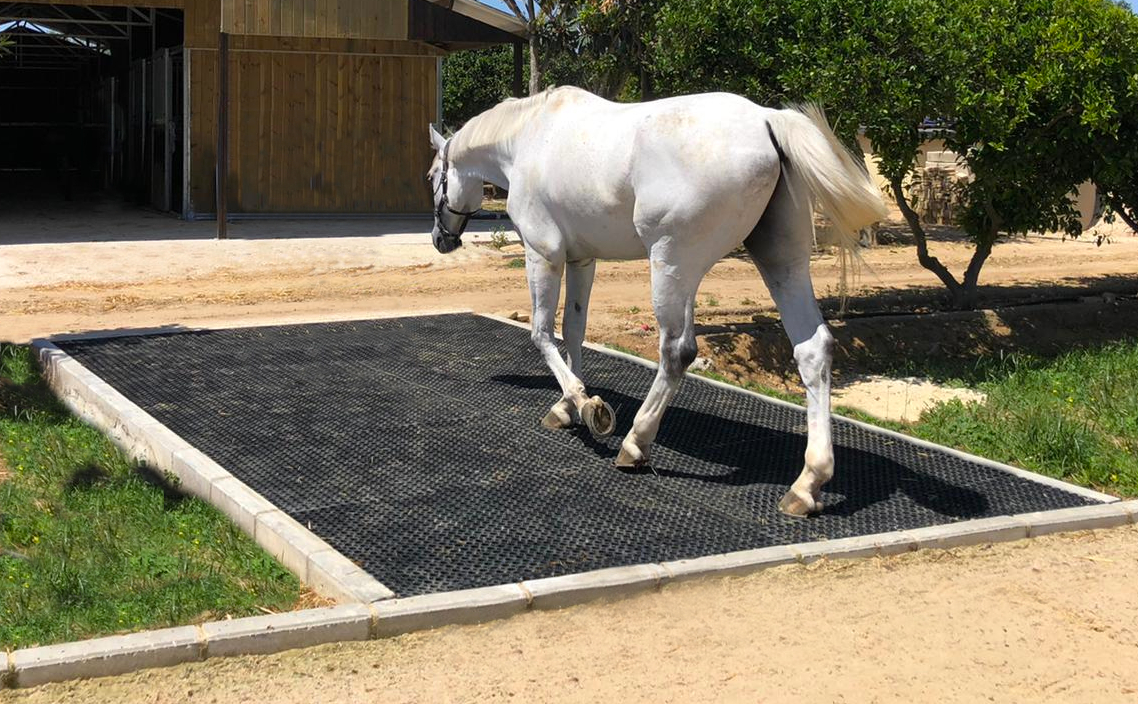 CHALLENGER – Image 2