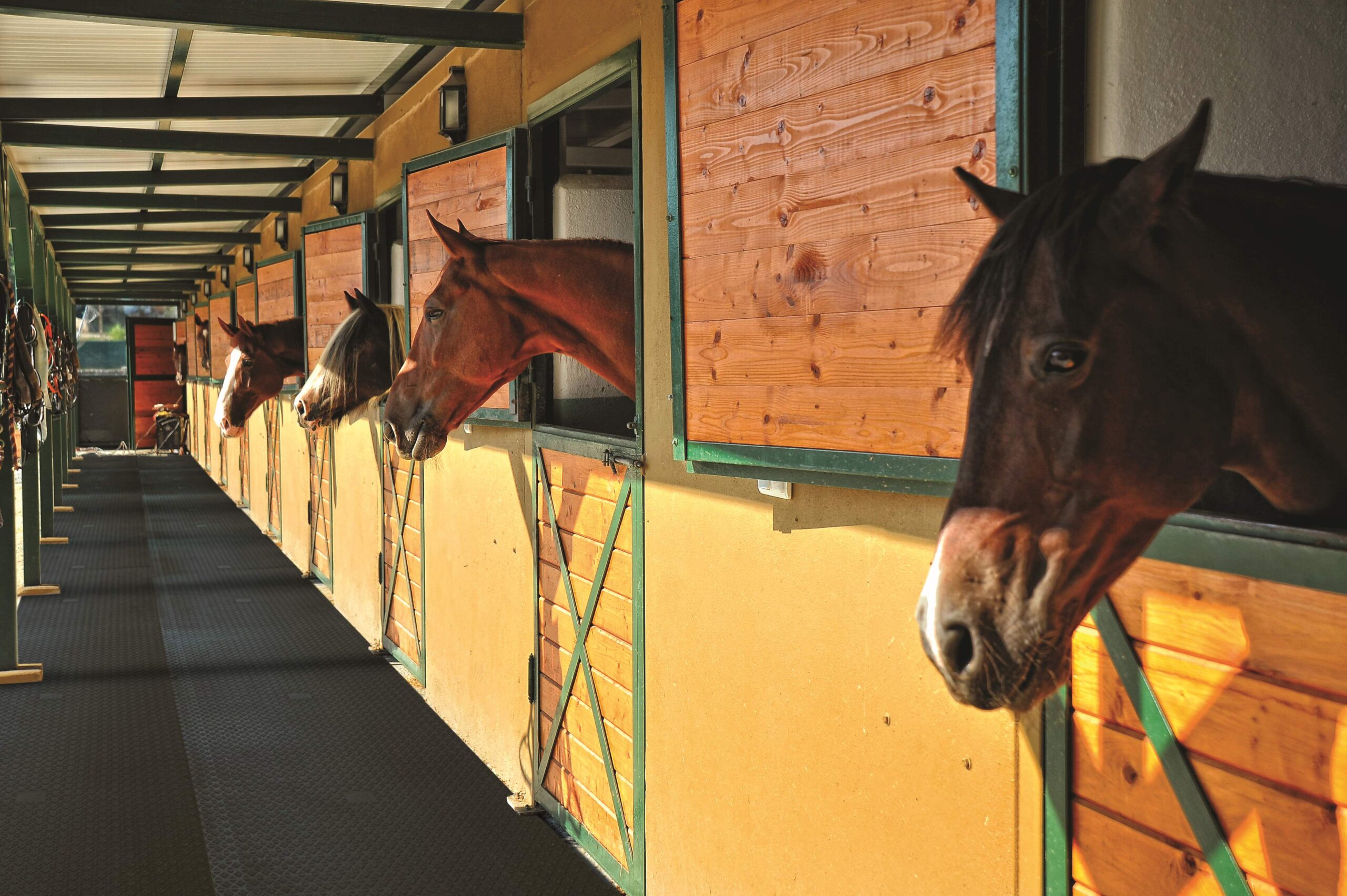 DELTA DIAM MAT – Image 2