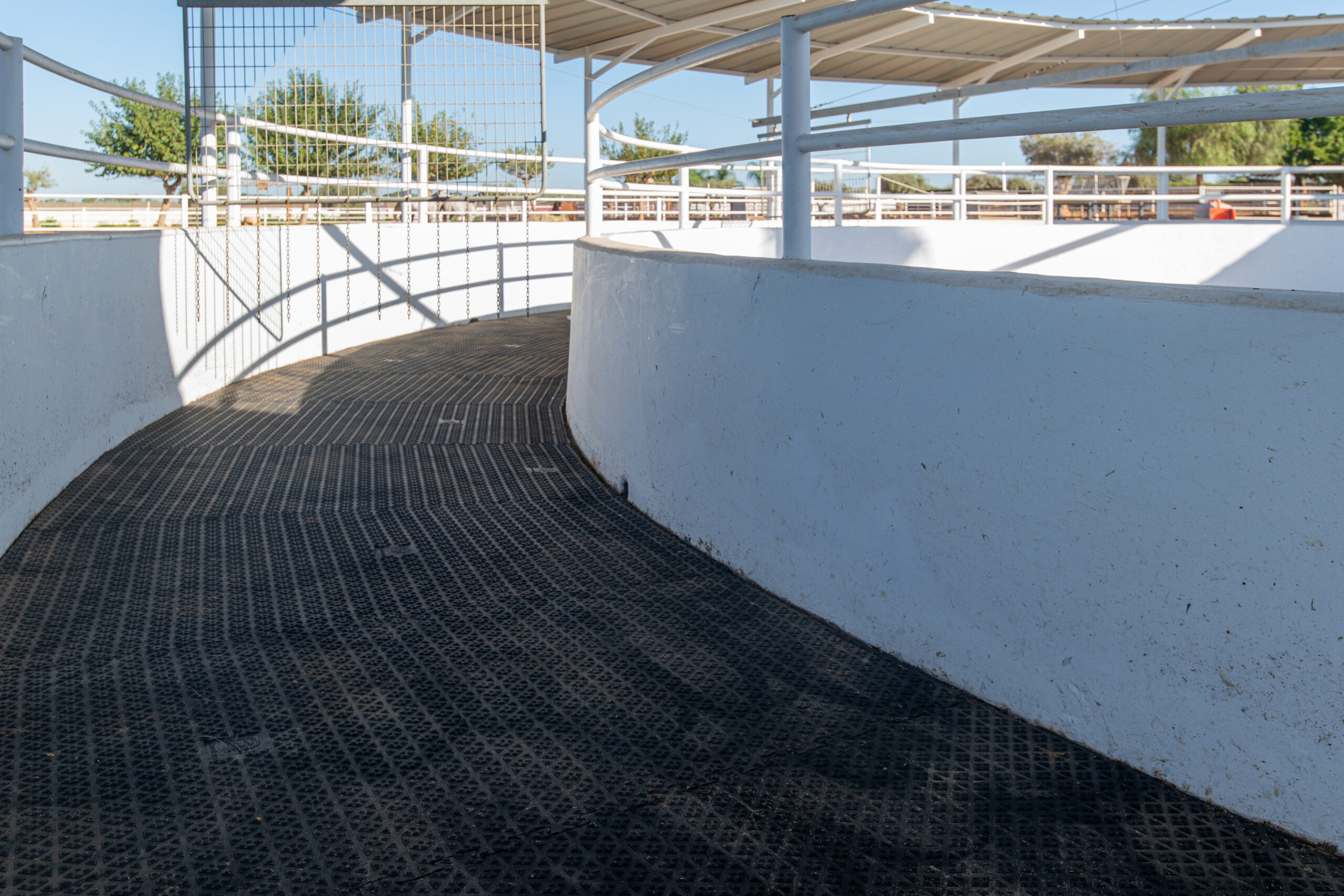 DELTA DIAM MAT – Image 4