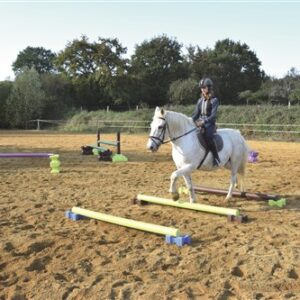 Cavaletti mini blok bruin