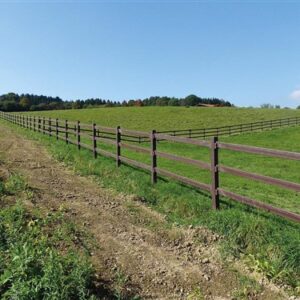 Karja eindpaal met houder voor 3 dwarsbalken,
