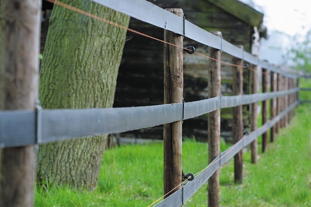 Beo-Band wit of zwart
