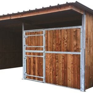 Extension d'abri 3,09x4,18 Clin Douglas 42 mm Ardoise