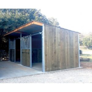 Extension d'abri 3,09x3,18 Clin Douglas 42 mm Ardoise