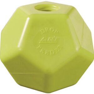 Drop Feeder pistache