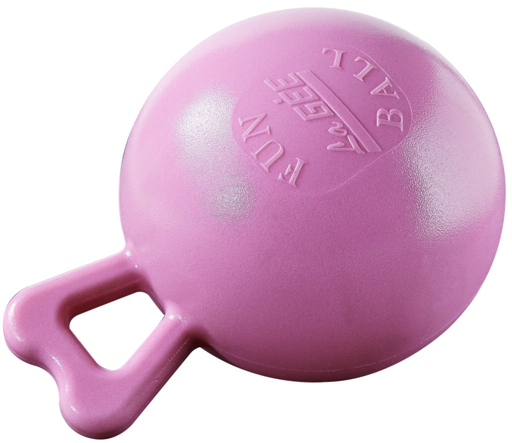 Fun Ball Rose