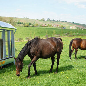 RATELIER 4 FACES TYPE CHEVAL