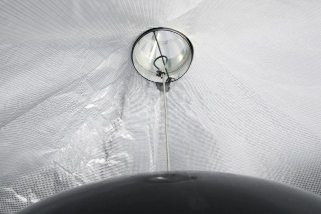 Dazenval ToanX - Afbeelding 2