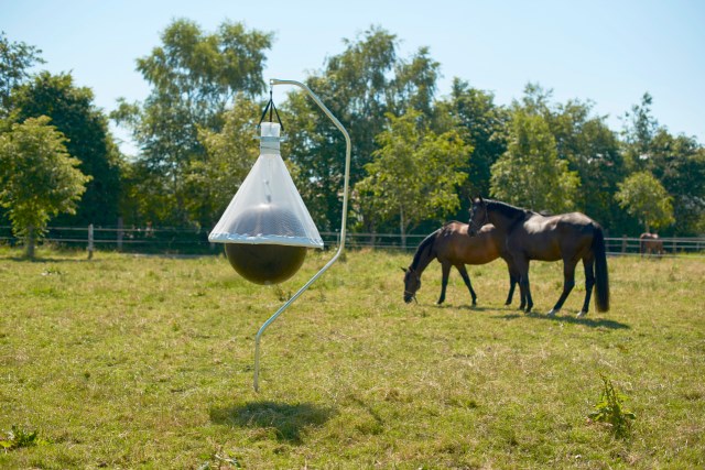 Dazenval ToanX - Afbeelding 5